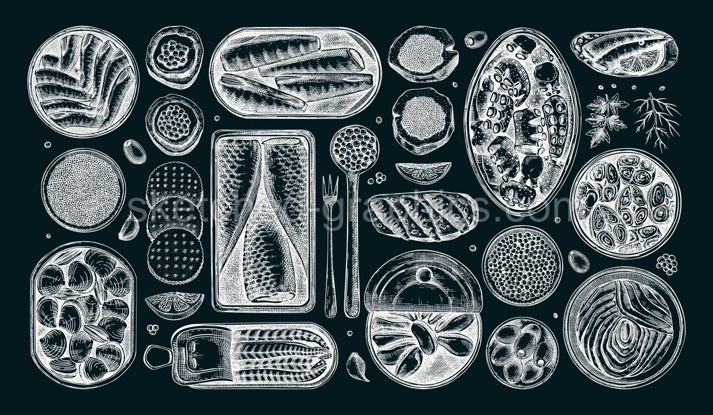 Seafood illustrations on chalkboard. Hand-drawn tinned fish sketches collection. Sardines, anchovy, mackerel, tuna, mussels in tin cans, fish canapes, olives, crackers drawings. Menu design Illustration